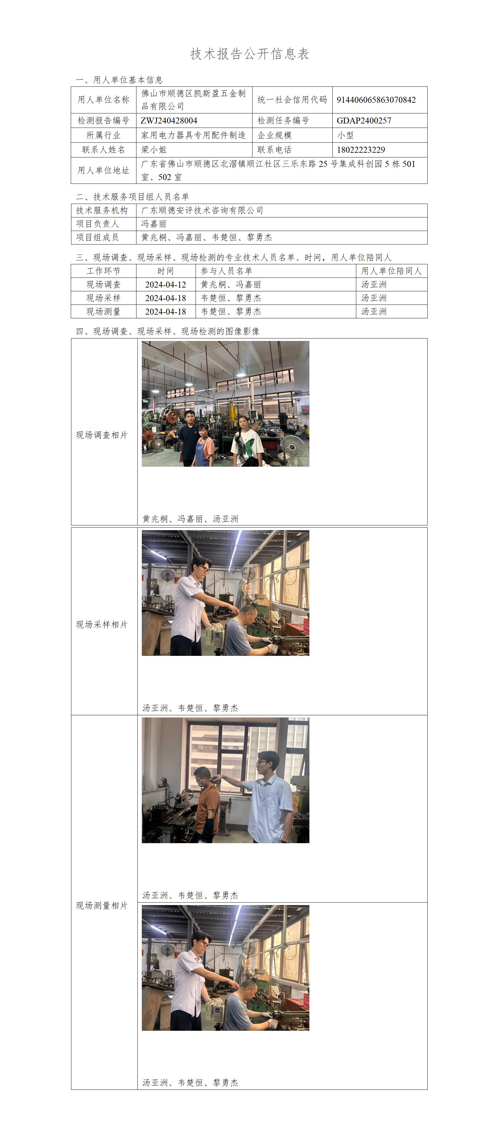 佛山市顺德区凯斯盈五金制品有限公司-2024-技术报告公开信息表_01.jpg