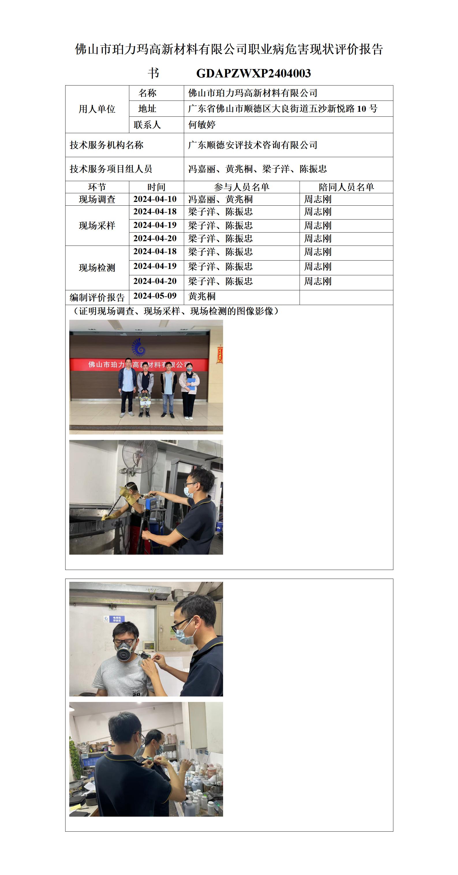 佛山市珀力玛高新材料有限公司-2024-技术报告公开信息表_01.jpg