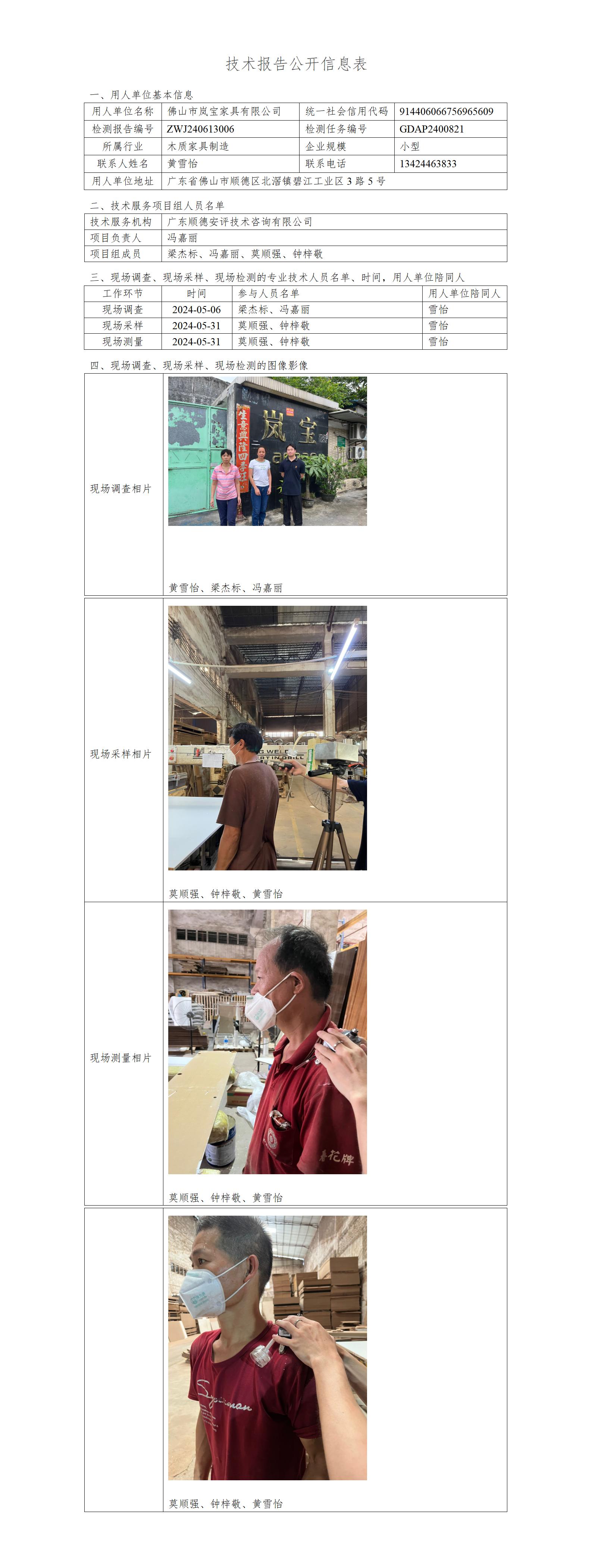 佛山市岚宝家具有限公司-2024-技术报告公开信息表_01.jpg