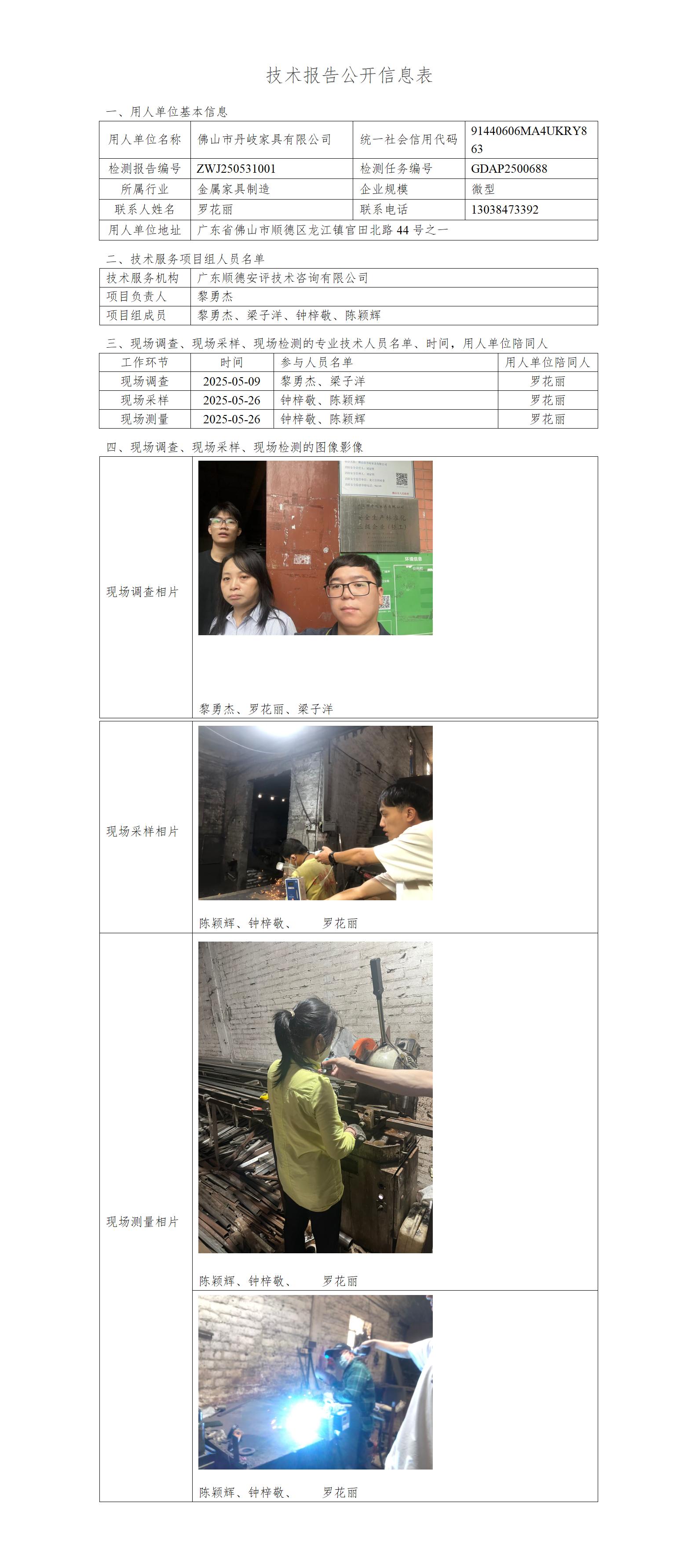佛山市丹岐家具有限公司-2025-技术报告公开信息表_01.jpg