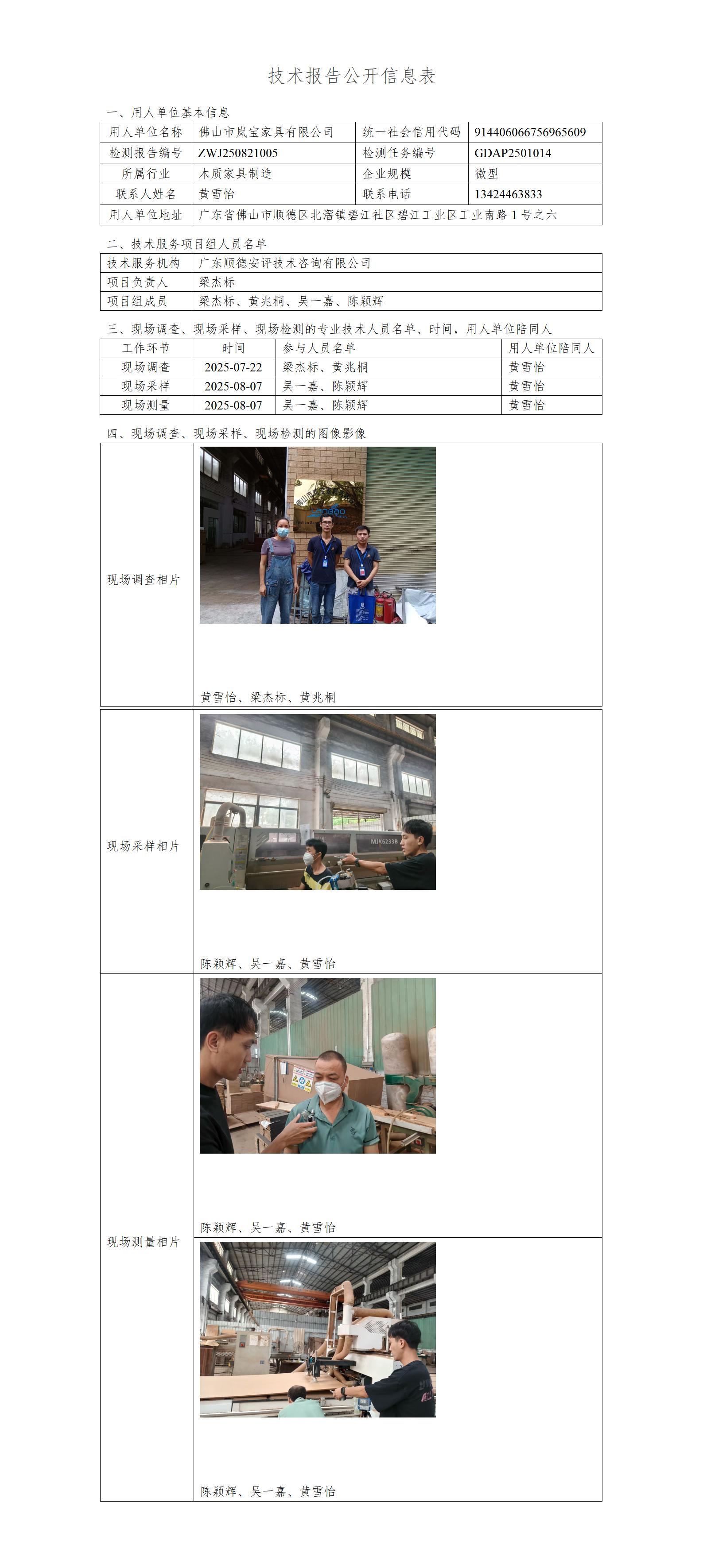 佛山市岚宝家具有限公司-2025-技术报告公开信息表_01.jpg